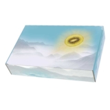 Paper packaging box