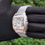Inside Information Regarding Seiko Santos Mod