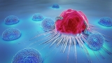 Fallopian Tube Cancer Market: Drivers, Regional Analysis, and Competitive Landscape 2026