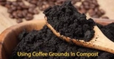 Organic fertilizer using coffee grounds