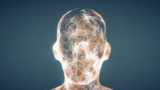 The development of a bionic brain is within reach
