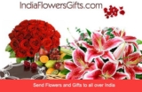 Express Your Love with Same Day Rose Day Gifts Delivery in India